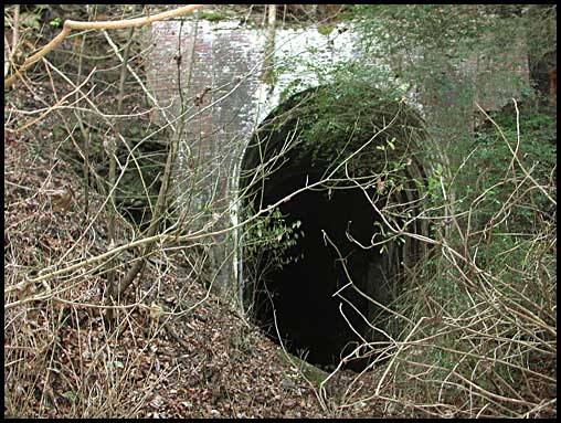 Photo of the weed-choked northern entrance to the tunnel